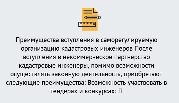 Почему нужно обратиться к нам? Мичуринск Что дает допуск СРО кадастровых инженеров?