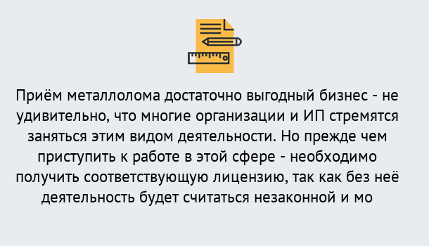 Почему нужно обратиться к нам? Мичуринск Лицензия на металлолом. Порядок получения лицензии. В Мичуринск