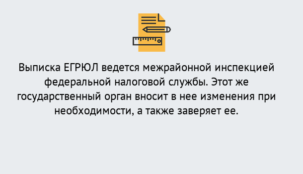 Почему нужно обратиться к нам? Мичуринск Выписка ЕГРЮЛ в Мичуринск ?