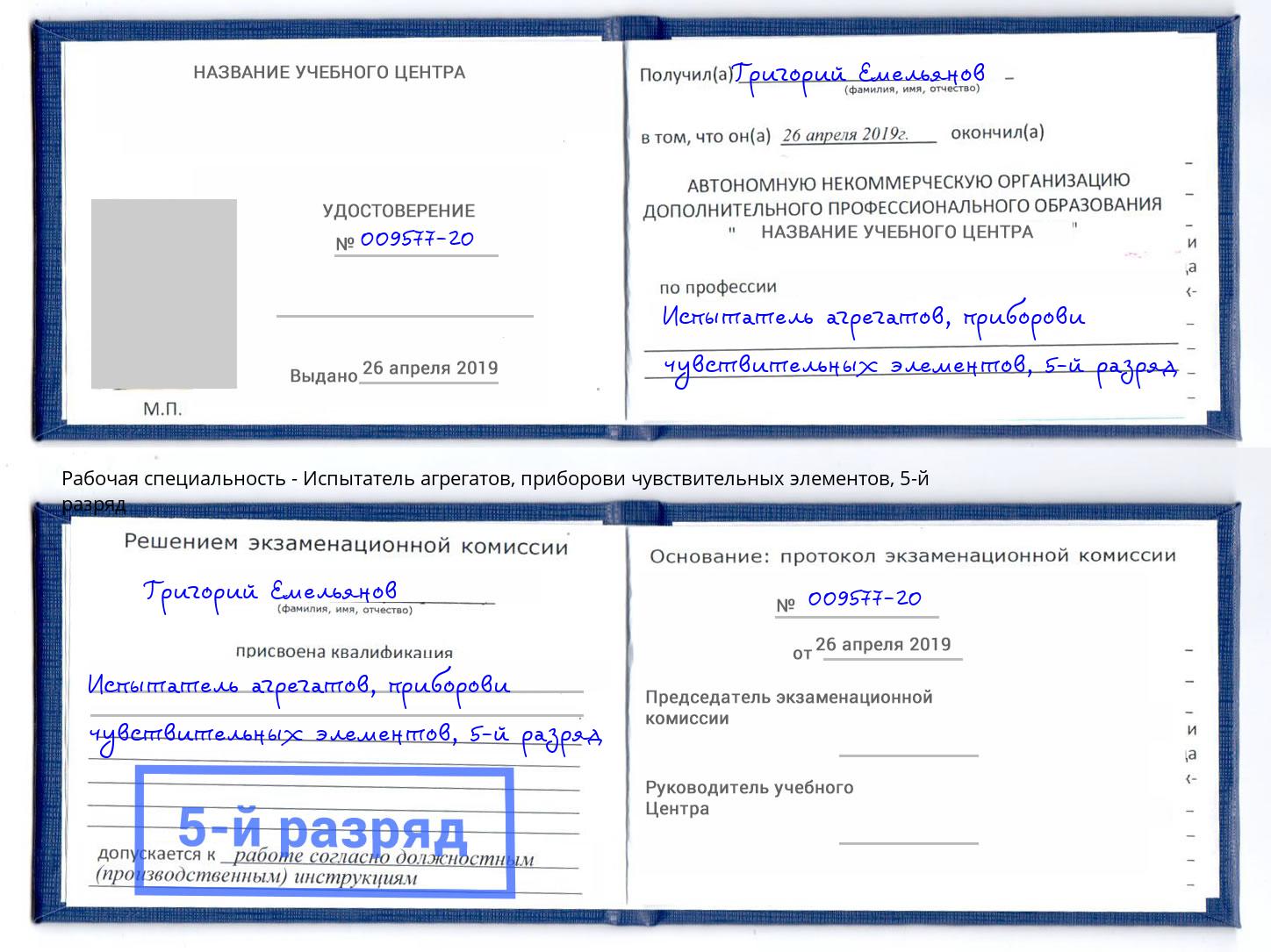 корочка 5-й разряд Испытатель агрегатов, приборови чувствительных элементов Мичуринск