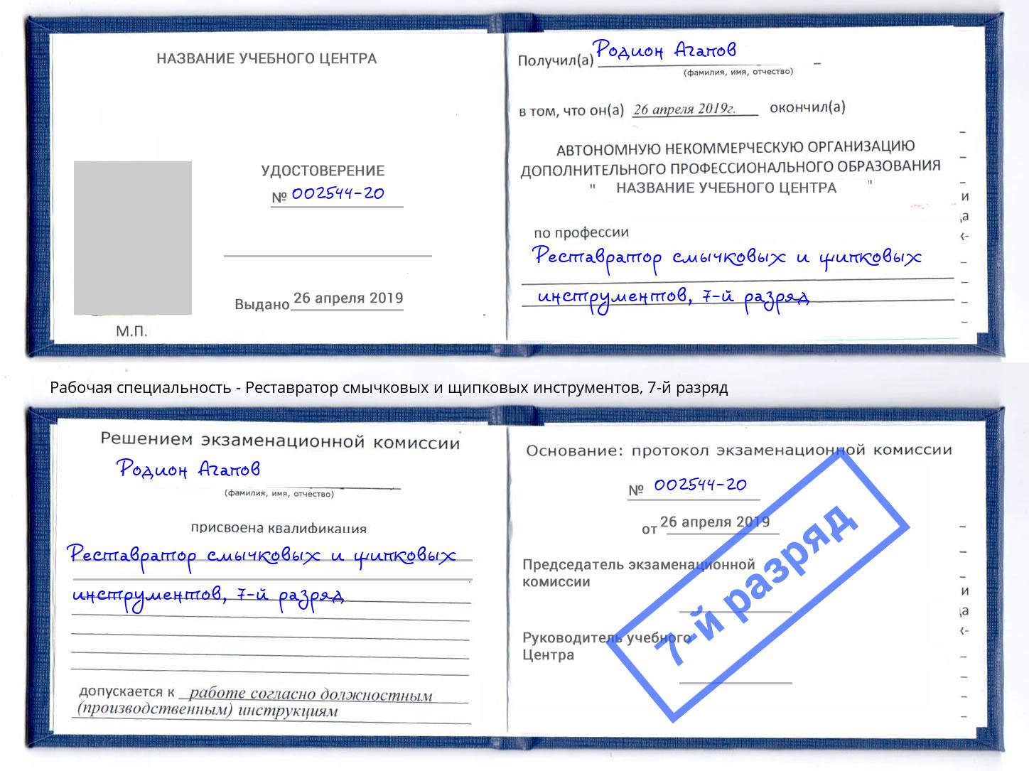 корочка 7-й разряд Реставратор смычковых и щипковых инструментов Мичуринск