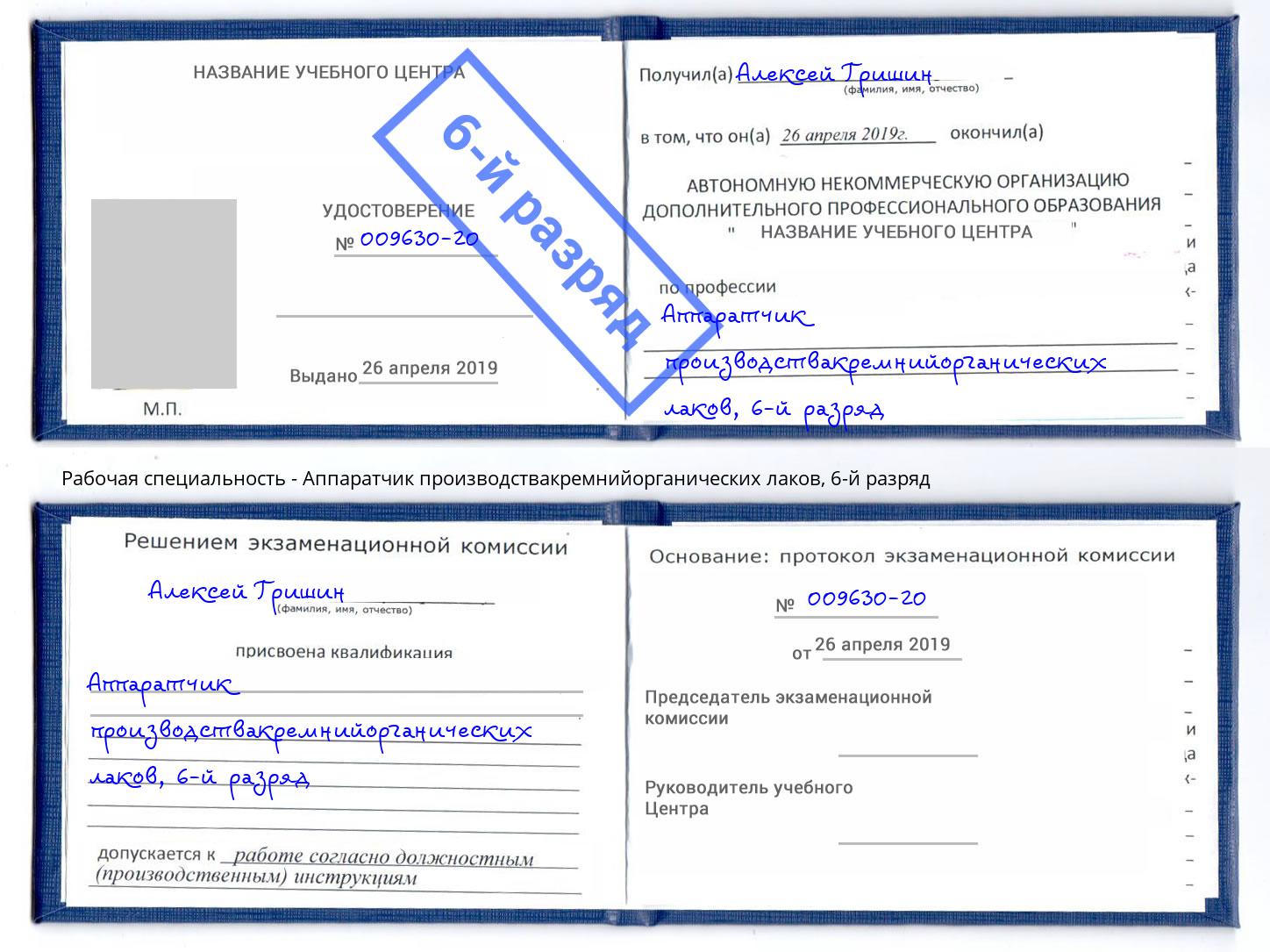 корочка 6-й разряд Аппаратчик производствакремнийорганических лаков Мичуринск