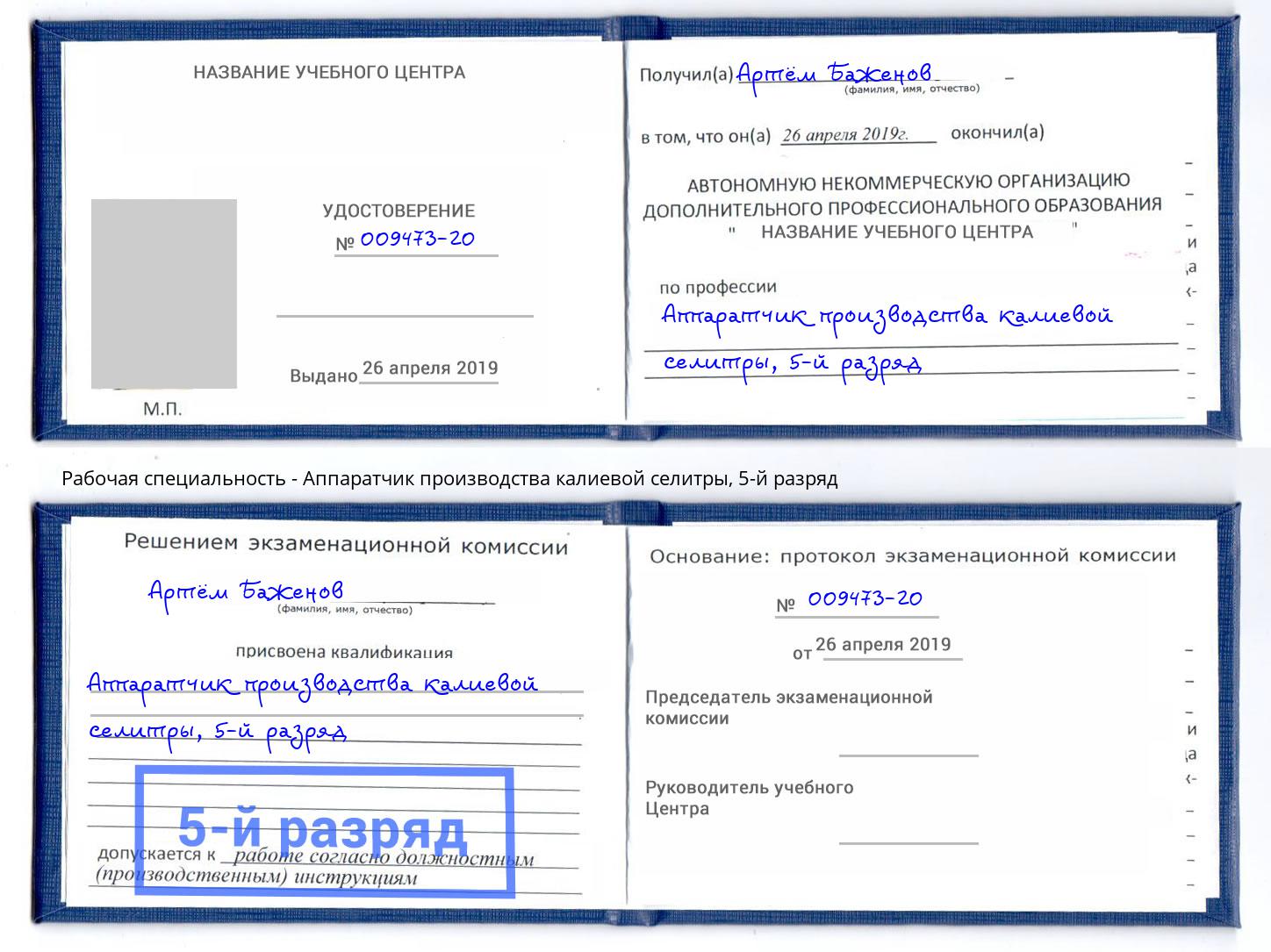 корочка 5-й разряд Аппаратчик производства калиевой селитры Мичуринск