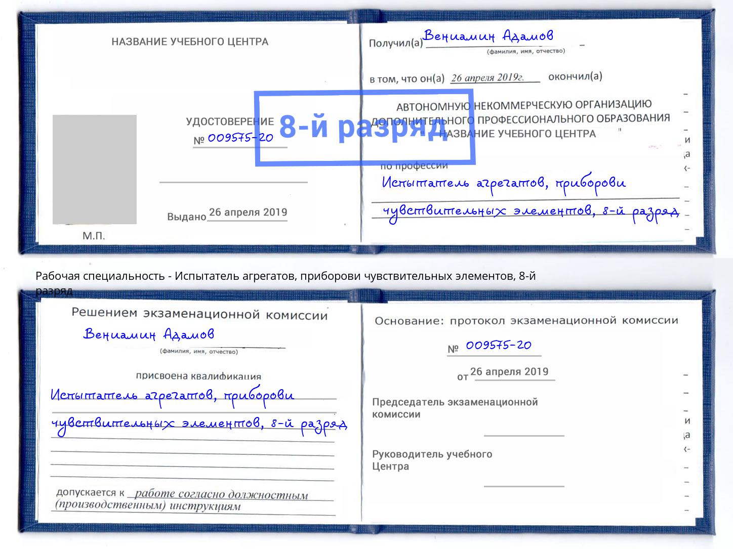 корочка 8-й разряд Испытатель агрегатов, приборови чувствительных элементов Мичуринск